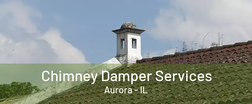 Chimney Damper Services Aurora - IL