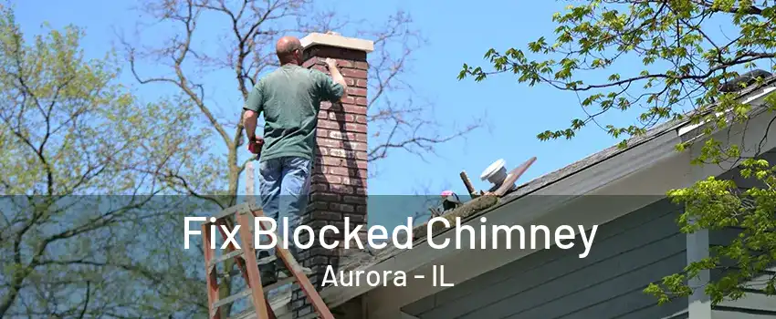 Fix Blocked Chimney Aurora - IL