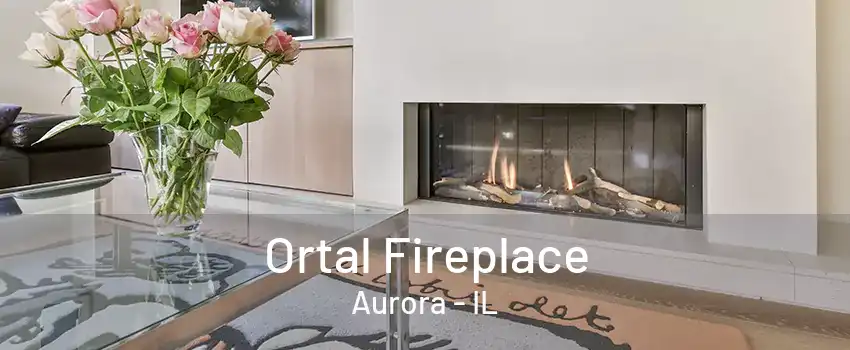 Ortal Fireplace Aurora - IL