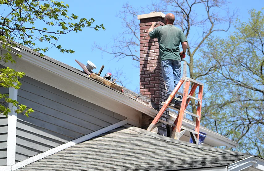 Chimney & Fireplace Inspections Services in Aurora, IL